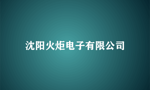 沈阳火炬电子有限公司