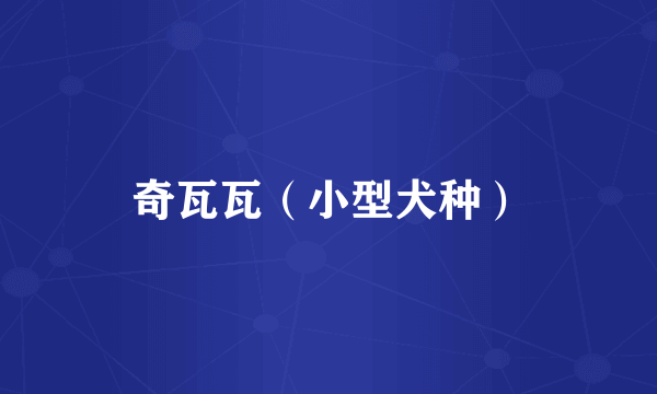 奇瓦瓦（小型犬种）