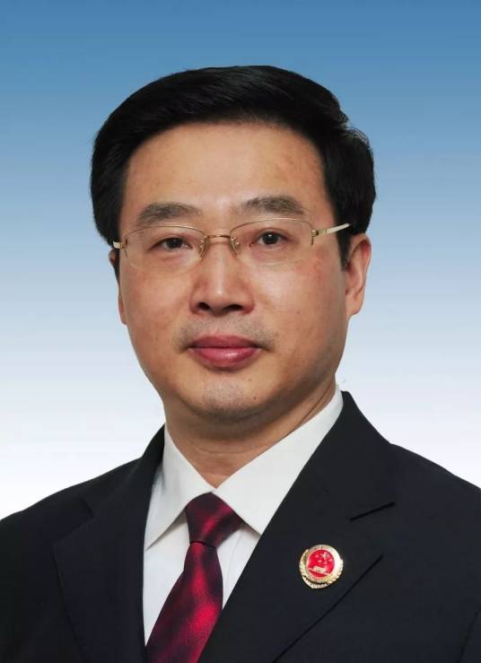 童建明（第二十届中央委员，最高人民检察院党组副书记、副检察长）
