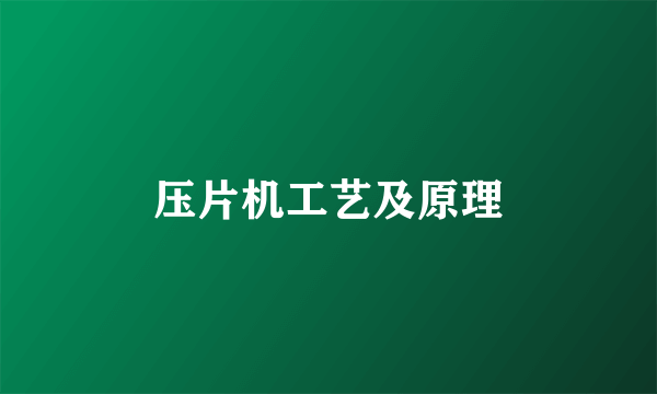 压片机工艺及原理