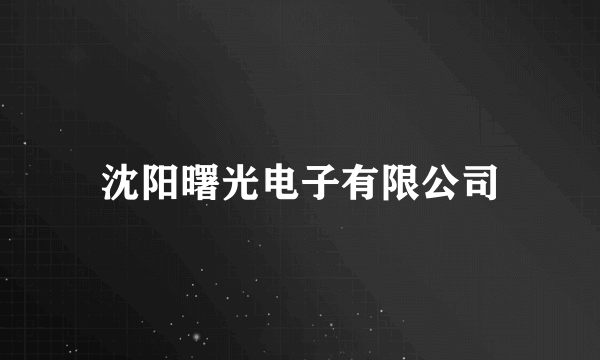 沈阳曙光电子有限公司