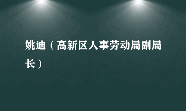 姚迪（高新区人事劳动局副局长）