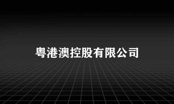 粤港澳控股有限公司