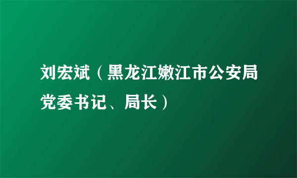 刘宏斌（黑龙江嫩江市公安局党委书记、局长）