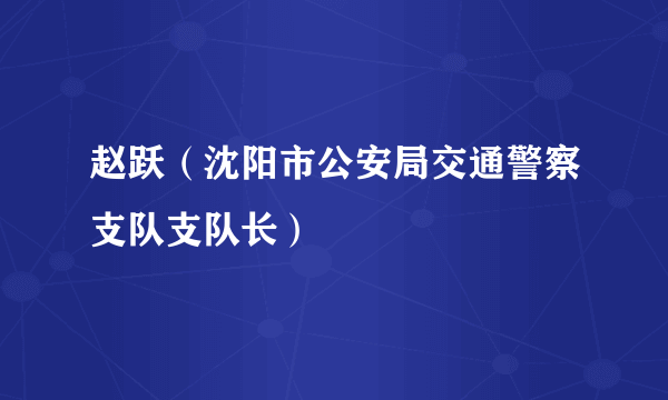 赵跃（沈阳市公安局交通警察支队支队长）