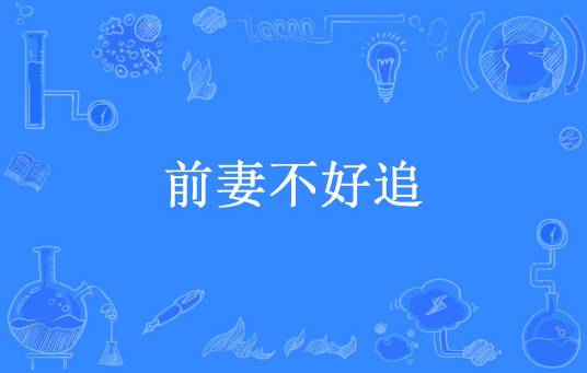 前妻不好追（苏半夏所著小说）