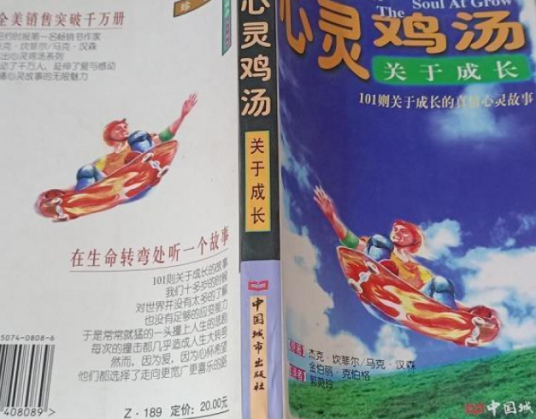 心灵鸡汤（2002年中国城市出版社出版的图书）