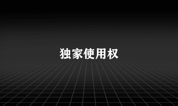 独家使用权