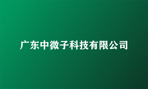 广东中微子科技有限公司