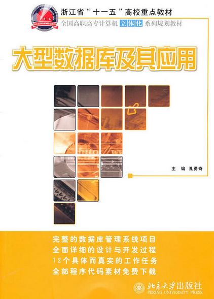大型数据库及其应用