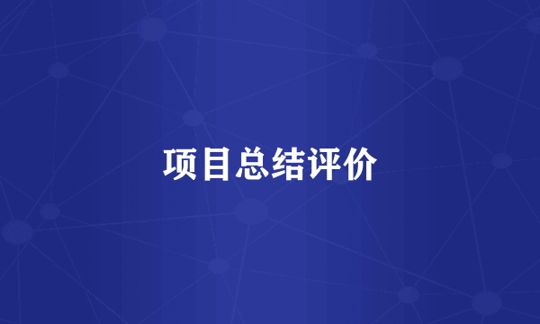 项目总结评价