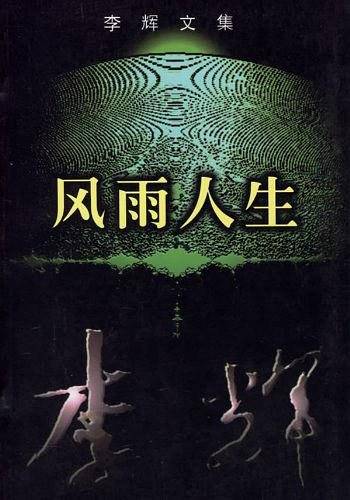 风雨人生（2003年花城出版社出版的图书）