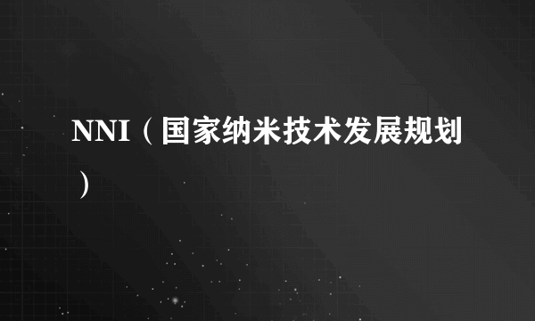 NNI（国家纳米技术发展规划）
