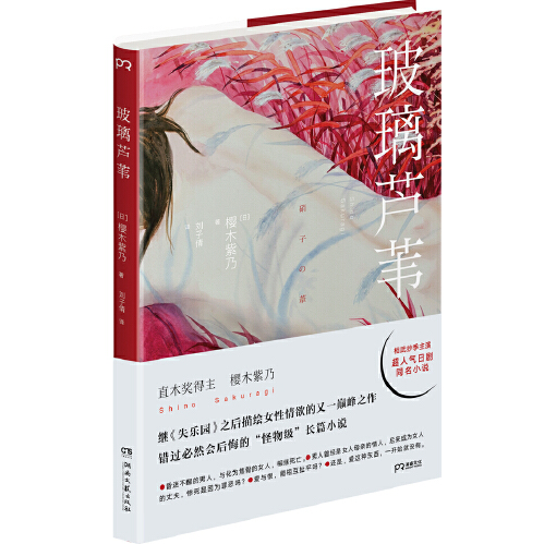 玻璃芦苇（2016年湖南文艺出版社出版的图书）