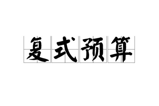 复式预算