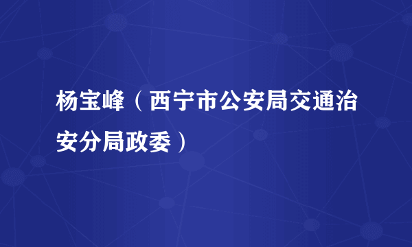 杨宝峰（西宁市公安局交通治安分局政委）