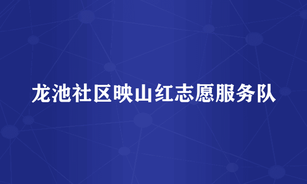 龙池社区映山红志愿服务队