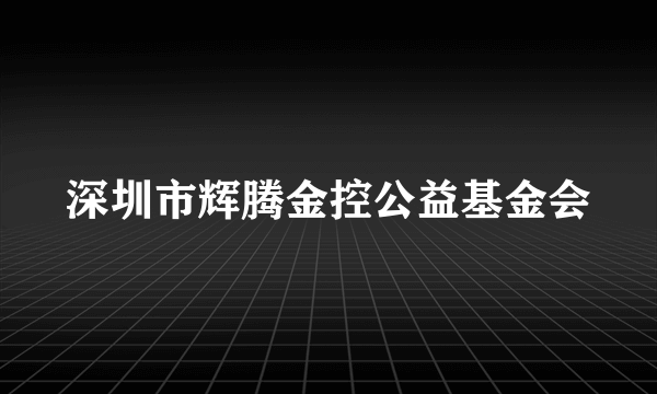 深圳市辉腾金控公益基金会