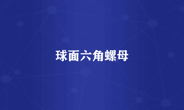 球面六角螺母