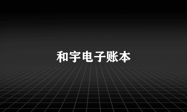 和宇电子账本