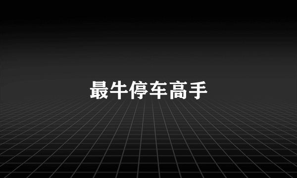 最牛停车高手