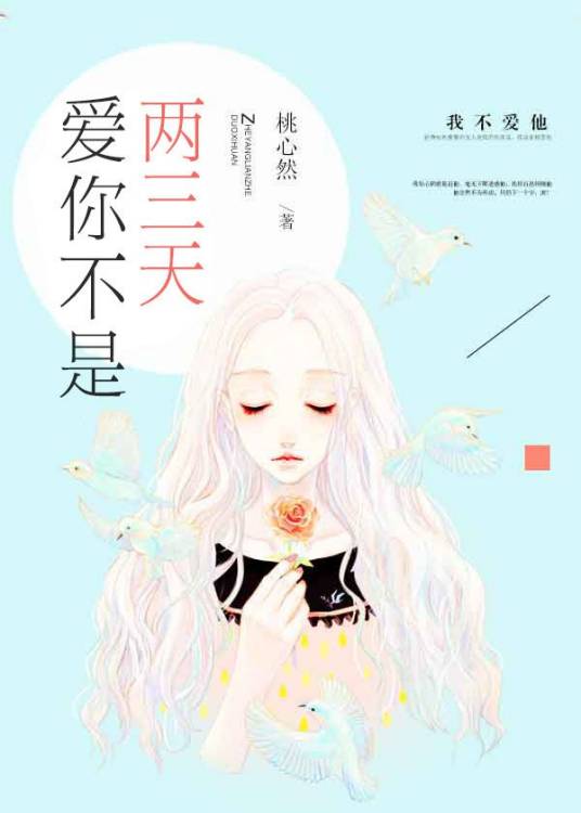 爱你不是两三天（小说）