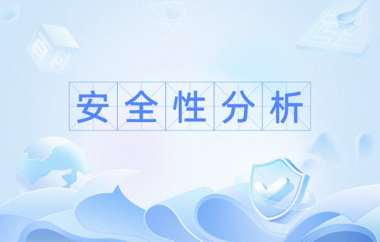 安全性分析