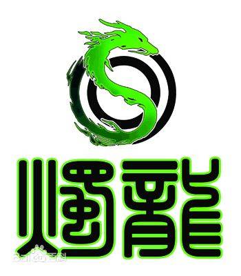 上海烛龙信息科技有限公司