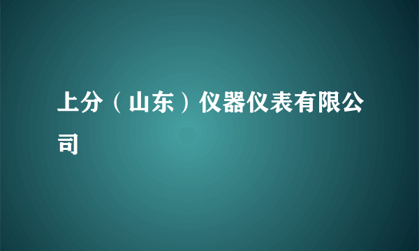 上分（山东）仪器仪表有限公司