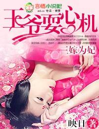 三嫁为妃，王爷耍心机（映日创作的网络小说）