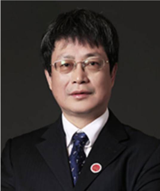 刘利民（首都医科大学宣武医院骨科主任医师）
