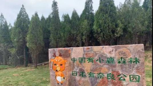 云上牧场