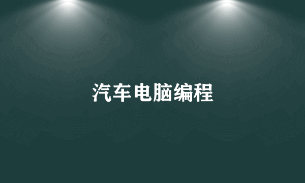 汽车电脑编程