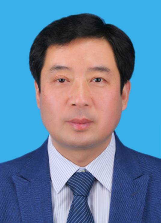 王兆刚（中国诚通控股集团有限公司纪委书记）