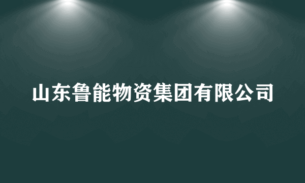 山东鲁能物资集团有限公司