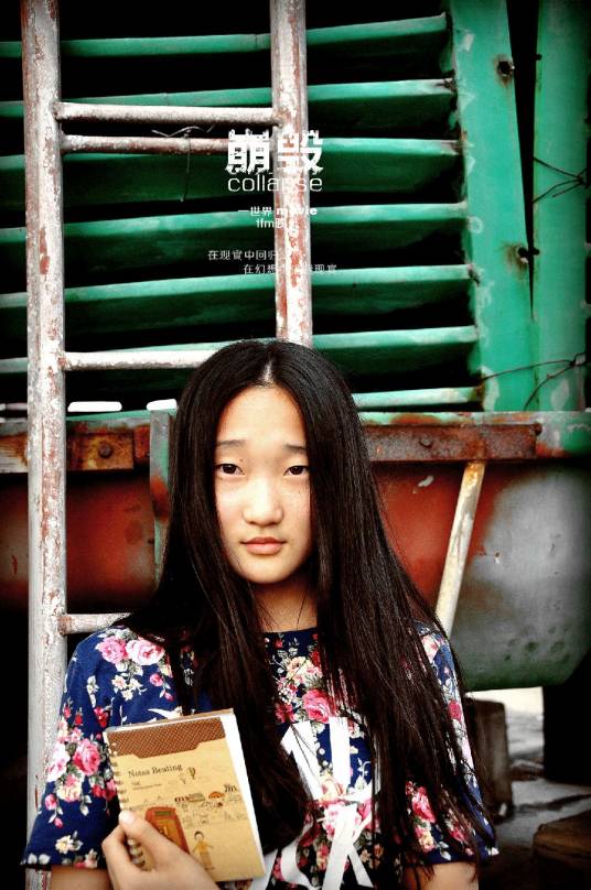 崩毁（2014年王梓一执导微电影）