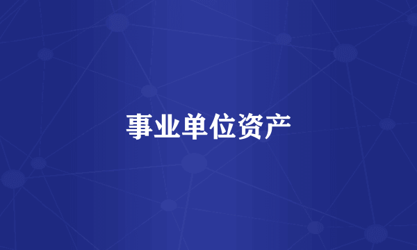 事业单位资产