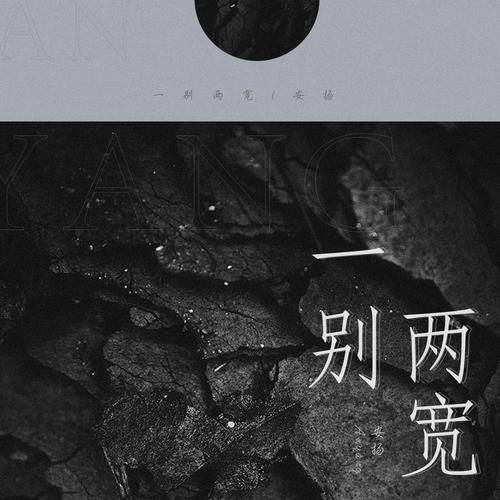 一别两宽（安扬演唱歌曲）