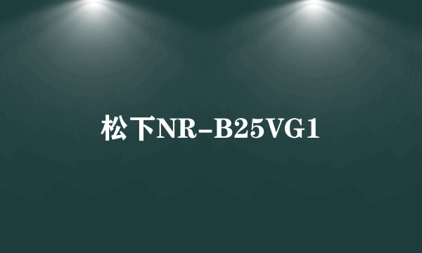 松下NR-B25VG1