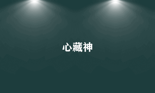 心藏神