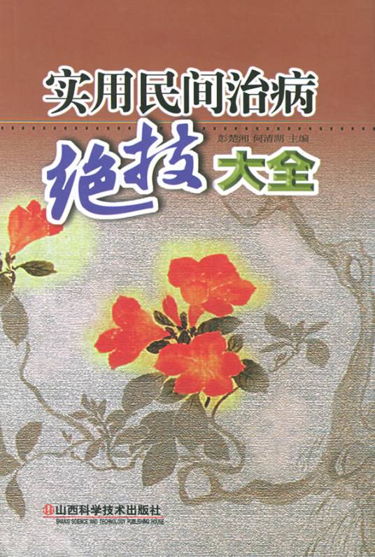实用民间治病绝技大全