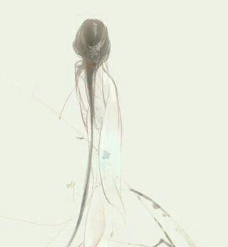 镜花