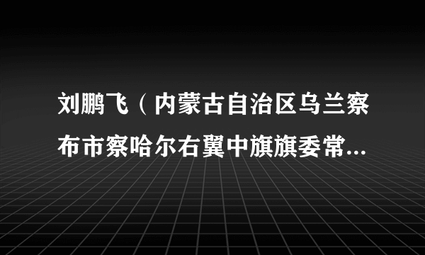刘鹏飞（内蒙古自治区乌兰察布市察哈尔右翼中旗旗委常委、组织部长）