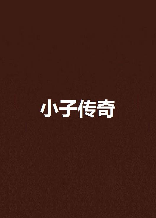 小子传奇