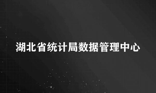 湖北省统计局数据管理中心