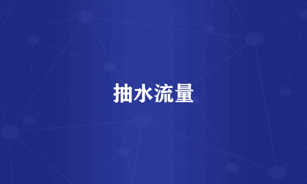抽水流量