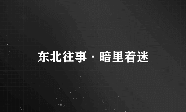 东北往事·暗里着迷