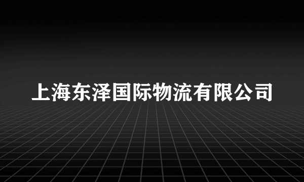 上海东泽国际物流有限公司