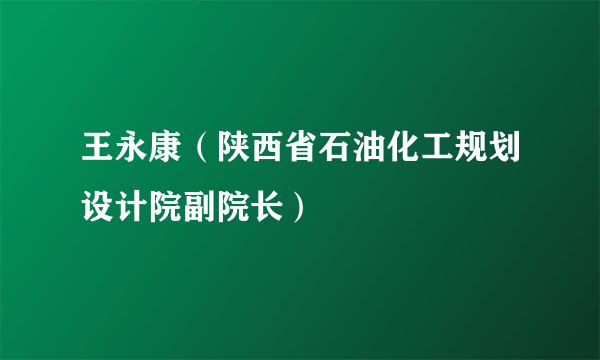王永康（陕西省石油化工规划设计院副院长）