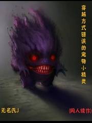 穿越方式错误的宠物小精灵续